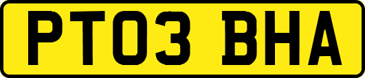 PT03BHA
