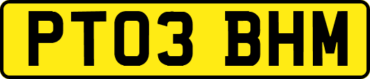 PT03BHM