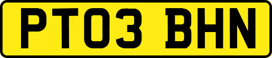 PT03BHN