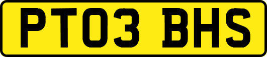 PT03BHS