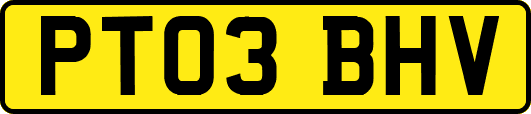 PT03BHV