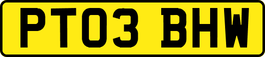 PT03BHW