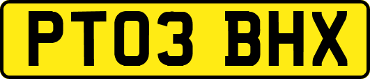 PT03BHX