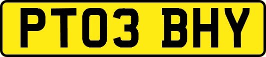 PT03BHY