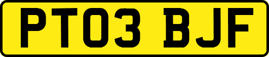 PT03BJF