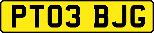PT03BJG