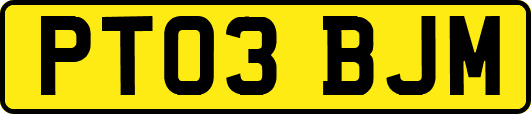 PT03BJM
