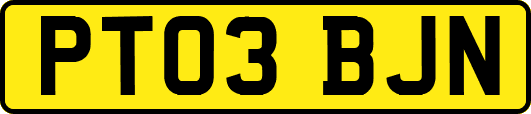 PT03BJN