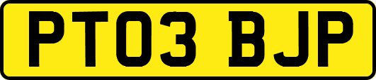 PT03BJP