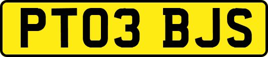 PT03BJS