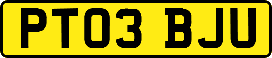 PT03BJU
