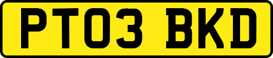 PT03BKD
