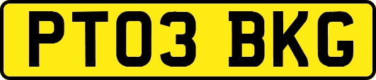 PT03BKG