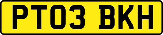 PT03BKH