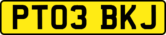 PT03BKJ