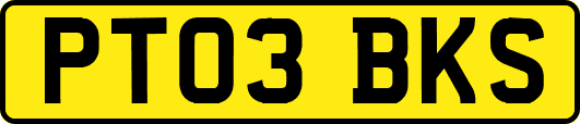 PT03BKS