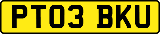 PT03BKU