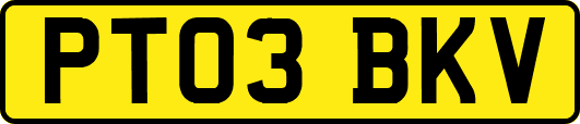 PT03BKV