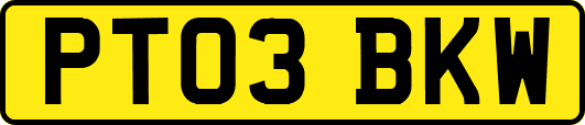PT03BKW