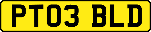 PT03BLD
