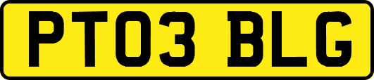 PT03BLG