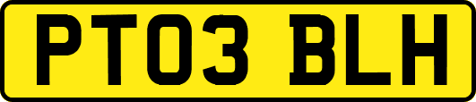 PT03BLH