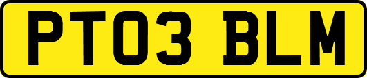 PT03BLM