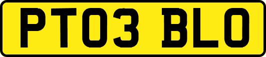PT03BLO