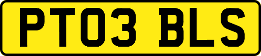 PT03BLS