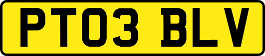 PT03BLV