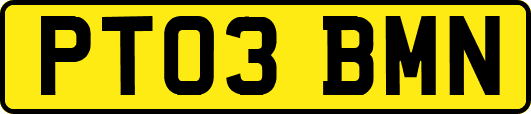 PT03BMN