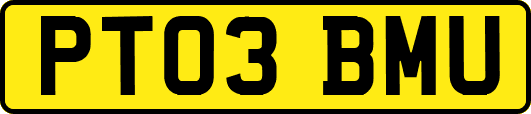 PT03BMU