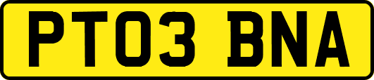 PT03BNA