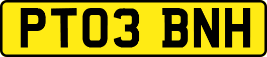 PT03BNH