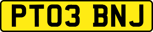PT03BNJ