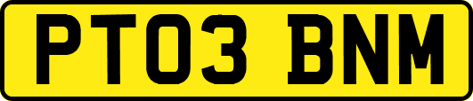 PT03BNM