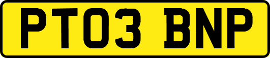 PT03BNP