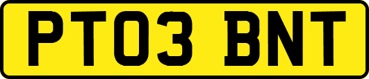 PT03BNT