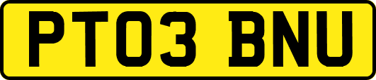 PT03BNU