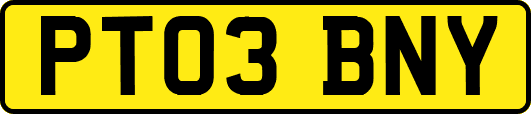 PT03BNY
