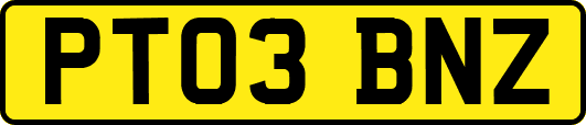 PT03BNZ