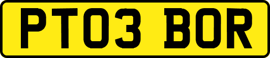 PT03BOR