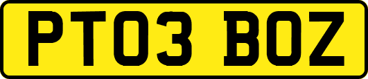 PT03BOZ
