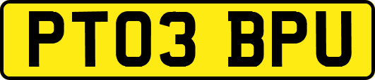 PT03BPU