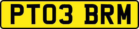 PT03BRM