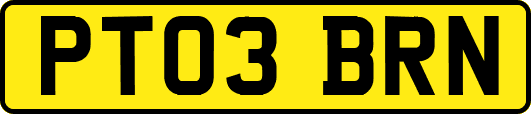 PT03BRN