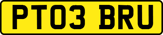 PT03BRU
