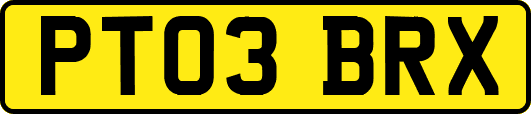 PT03BRX