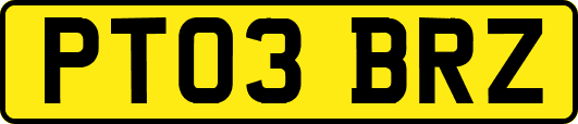 PT03BRZ