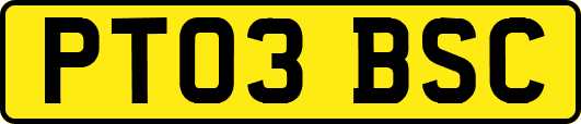 PT03BSC
